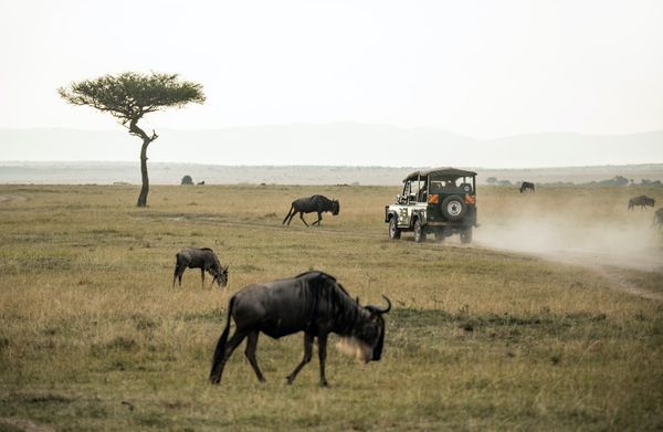 Top Places to Visit in Kenya